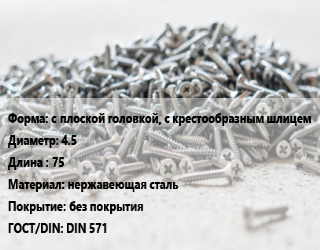 Шуруп с плоской головкой, с крестообразным шлицем 4.5х75 нержавеющая сталь без покрытия ГОСТ: DIN 571, шт цена от 223.56 Тг / кг, где купить, условия доставки в Атырау и Атырауской области области